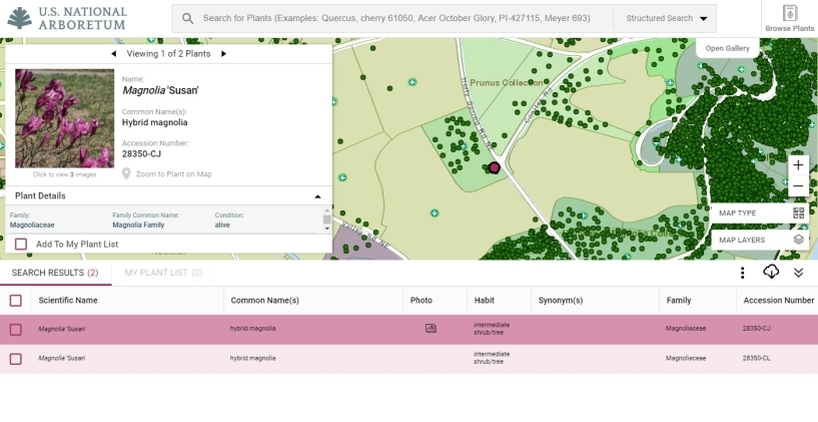 Arboretum Plant Explorer (ABE): interactive map and plant finder, showing search results