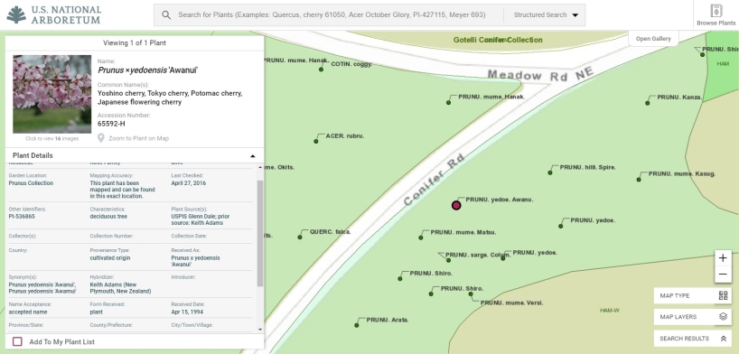 Arboretum Plant Explorer (ABE): interactive map and plant finder, zoom in for more details