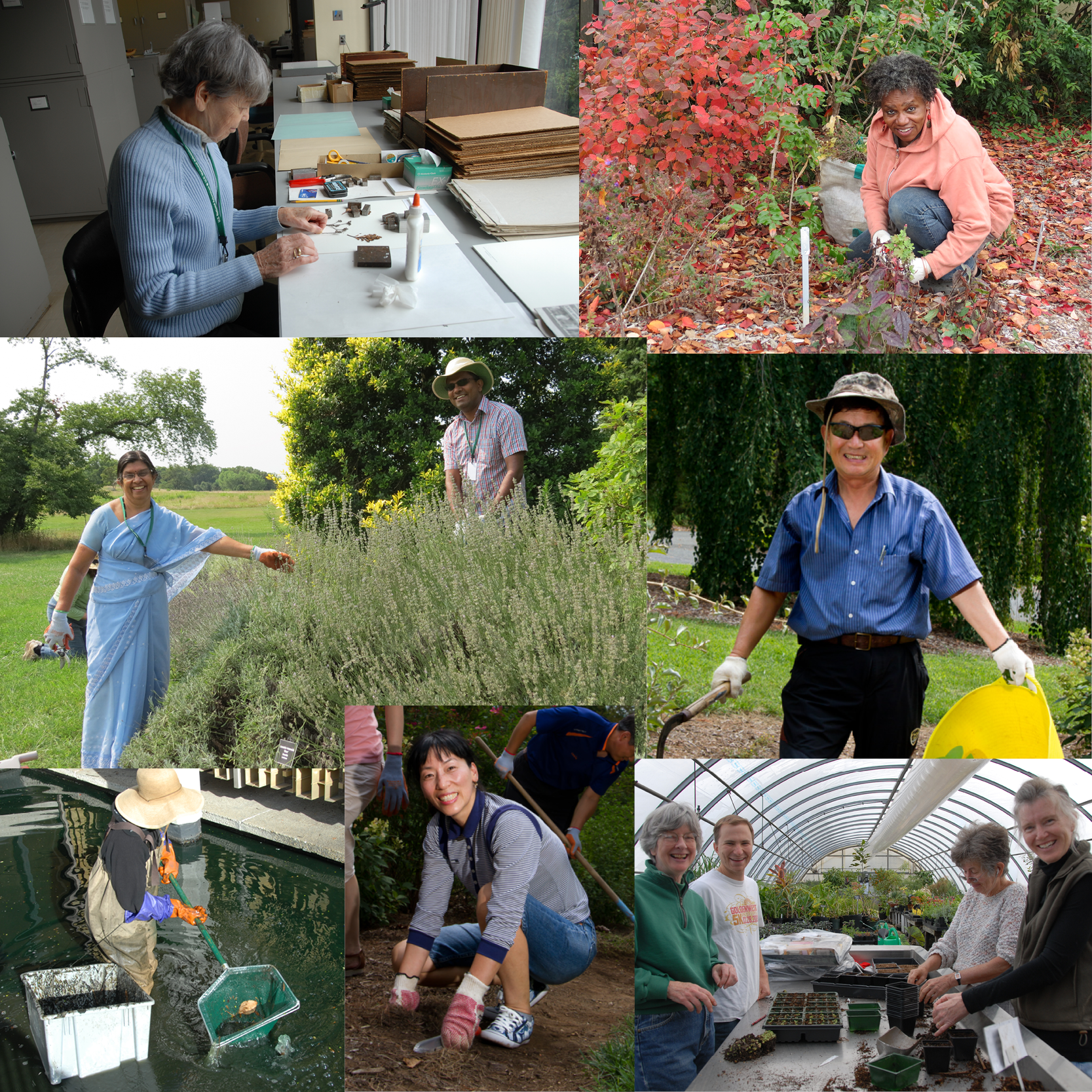A collage of volunteers doing varied indoor and outdoor tasks across the Arboretum.